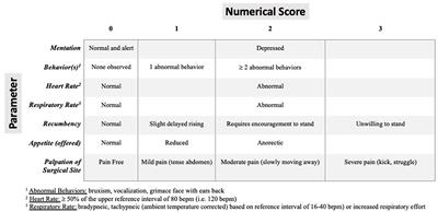 Perioperative analgesic effects of an ultrasound-guided transversus abdominis plane block using bupivacaine in goats undergoing celiotomy